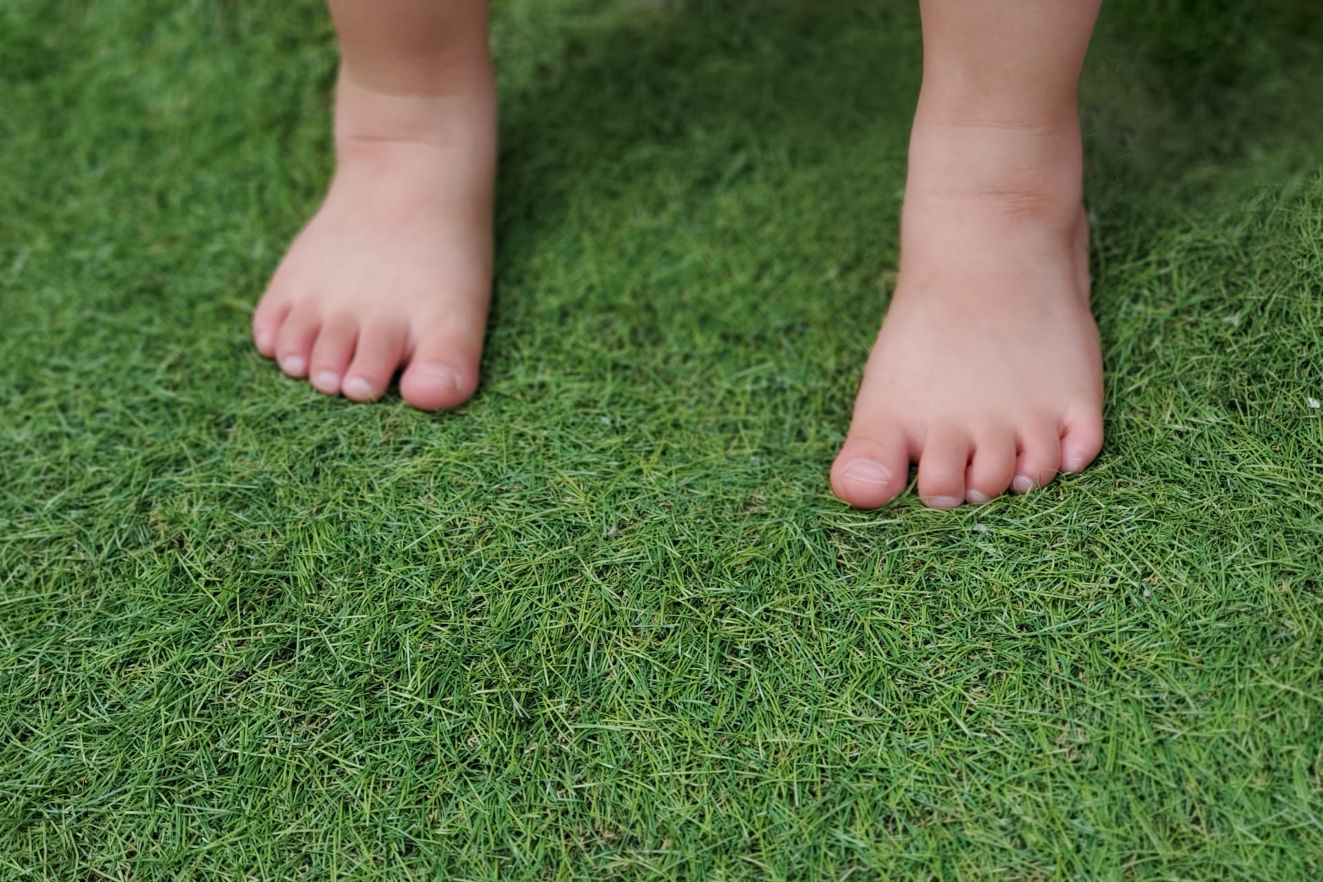 踏んでも元に戻る形状記憶の人工芝