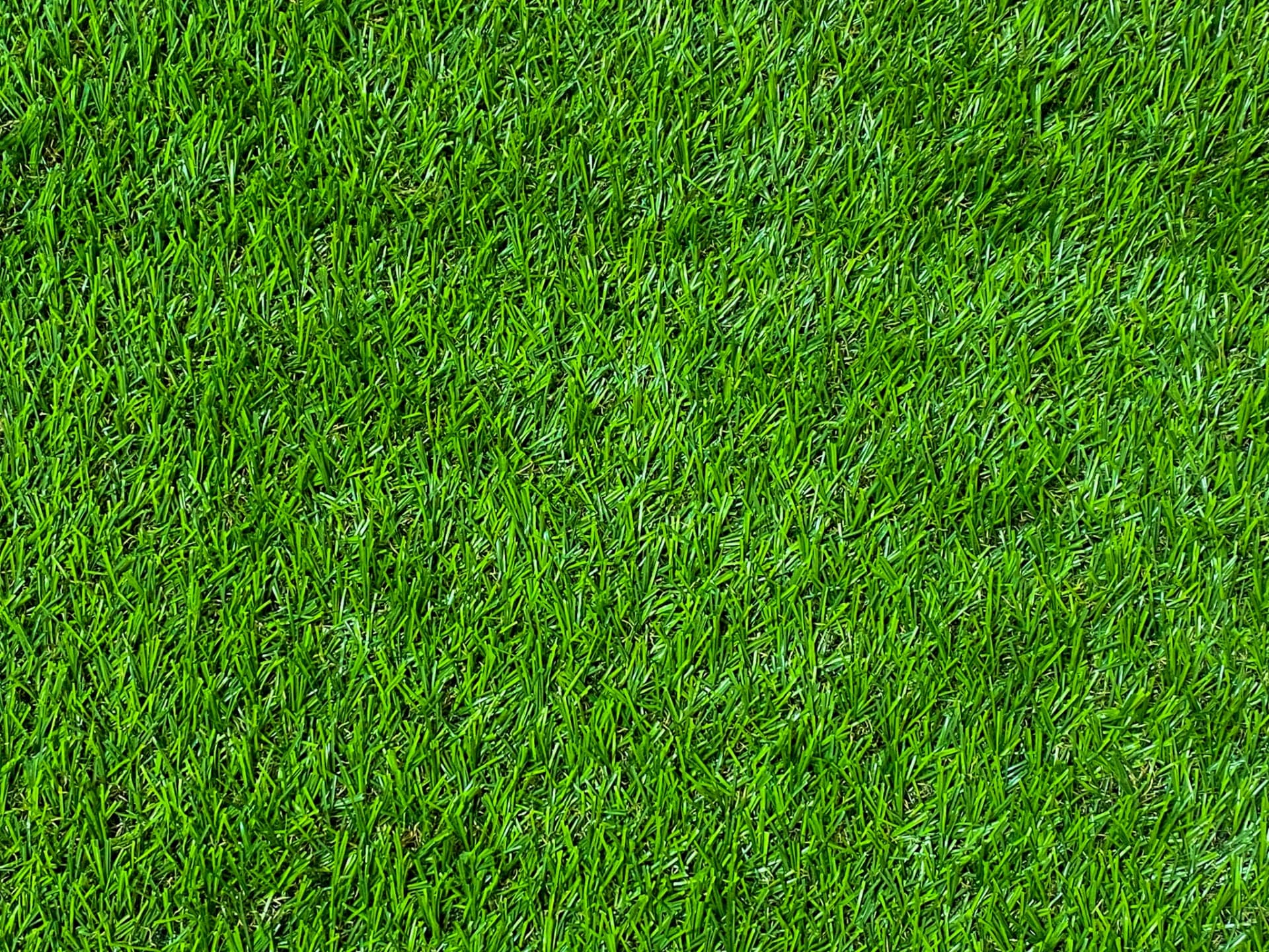 自然な見た目で美しい景観を演出